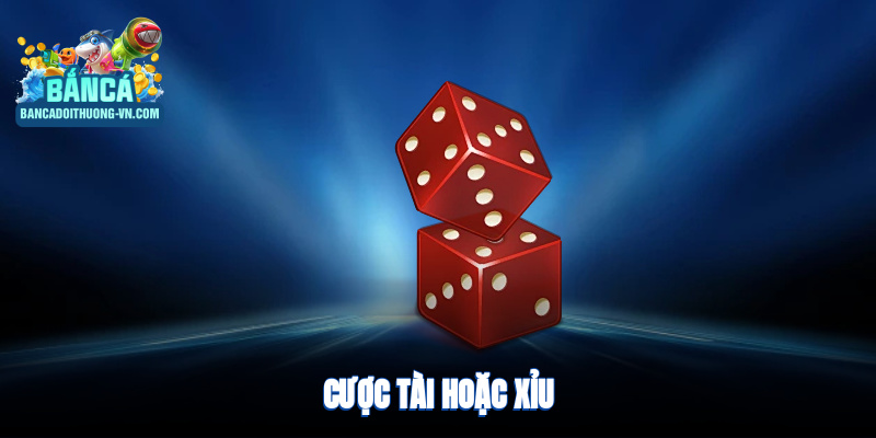 Cược tài hoặc xỉu