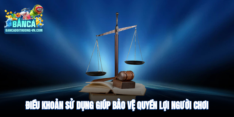Điều khoản sử dụng giúp bảo vệ quyền lợi người chơi và tránh vi phạm