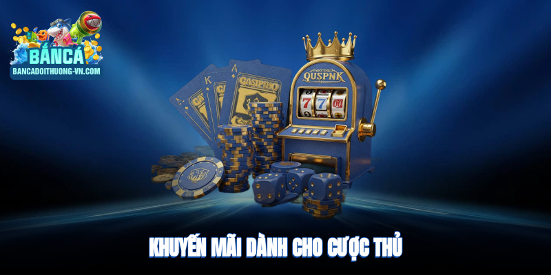 Khuyến mãi dành cho cược thủ