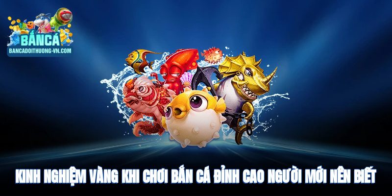 Kinh nghiệm vàng khi chơi bắn cá giúp tối ưu đạn và trúng thưởng
