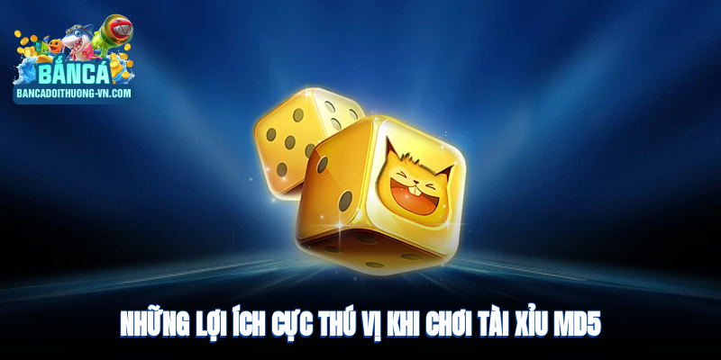 Những lợi ích cực thú vị khi chơi tài xỉu MD5 tại Bắn Cá Đổi Thưởng