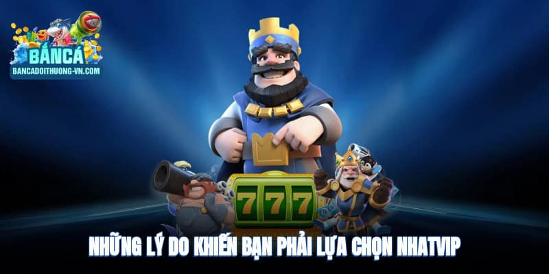 Những lý do khiến bạn phải lựa chọn Nhatvip