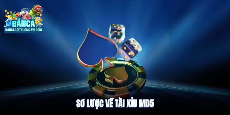 Sơ lược về tài xỉu MD5